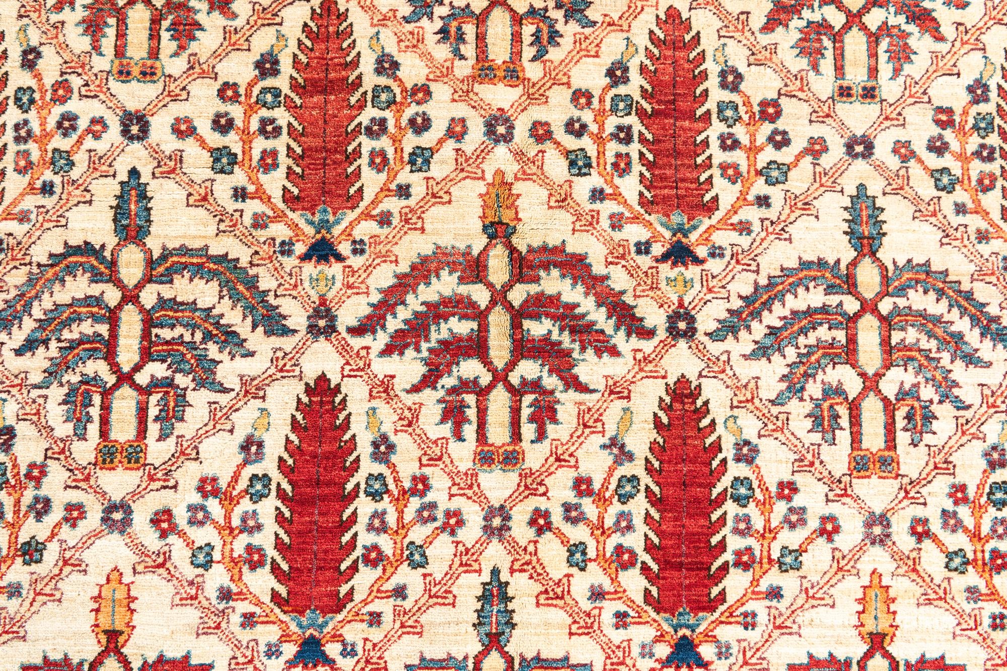 4' 10 x 6' 5 Hand Knotted Ariana Ziegler Oriental Rug