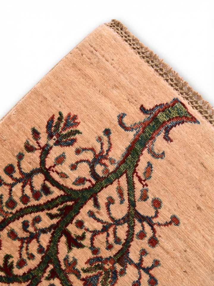 3' 11 x 6' 3 Hand Knotted Ariana Ziegler Rug