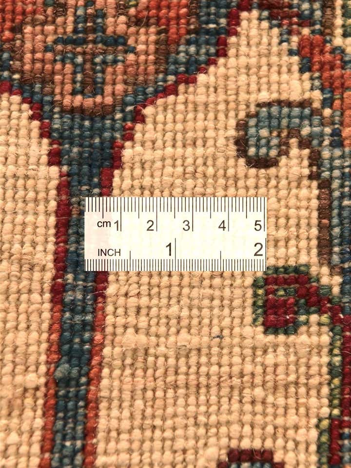 3' 11 x 6' 3 Hand Knotted Ariana Ziegler Rug