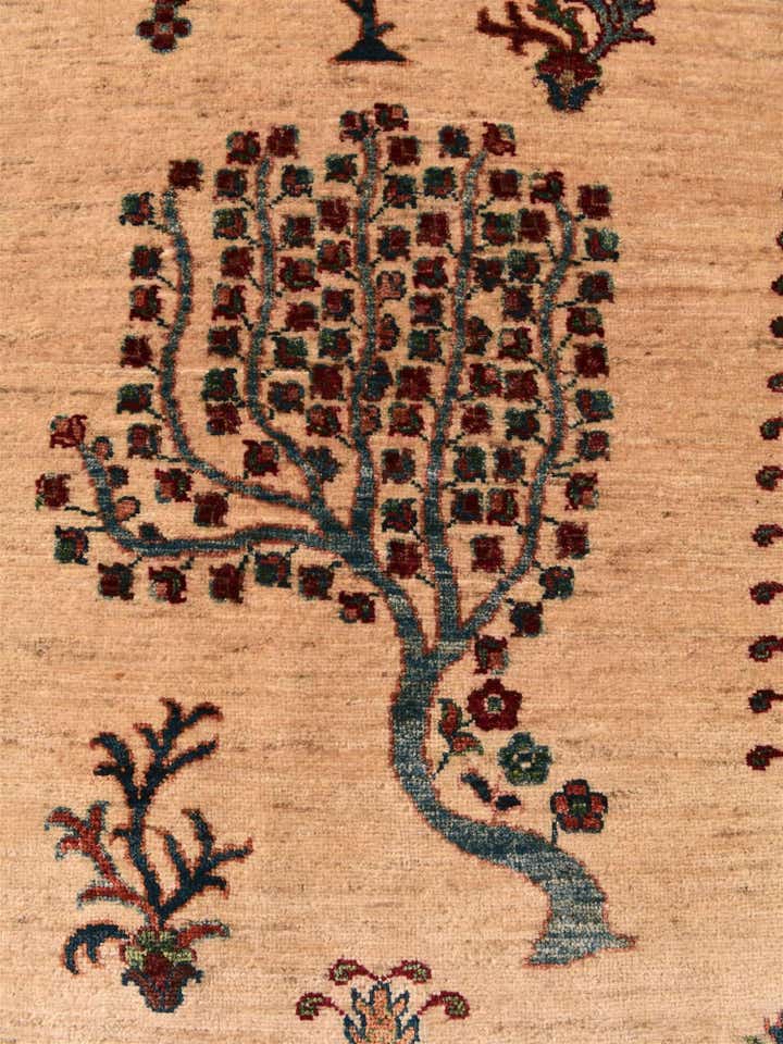 3' 11 x 6' 3 Hand Knotted Ariana Ziegler Rug