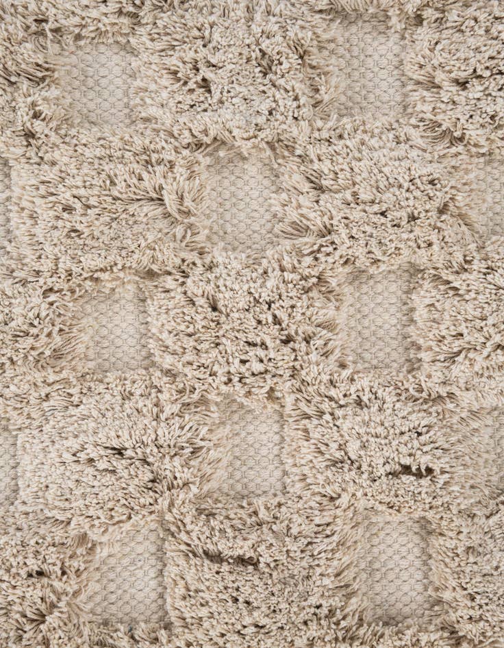 Detail image of 2' x 3' 2 Hand Woven Arizona Wool Rug