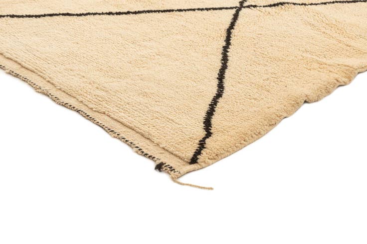 Detail image of 6' 3 x 8' 10 Berber Rug