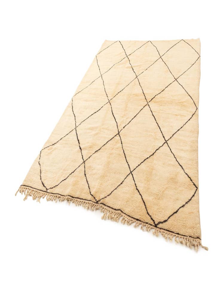 Detail image of 7' 1 x 9' 8 Berber Rug