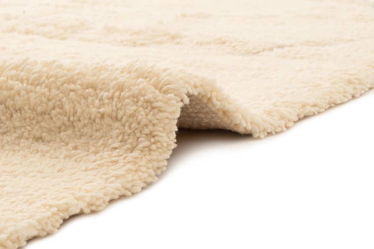 Detail image of 6' 10 x 9' 11 Berber Rug