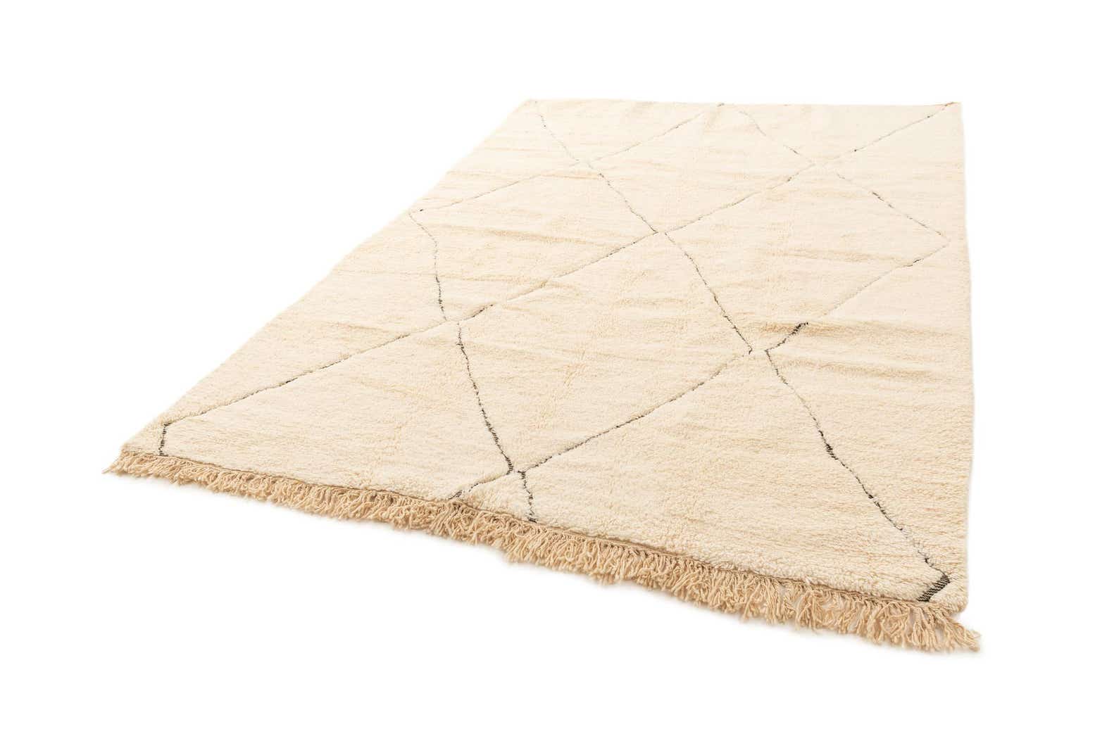 6' 10 x 9' 11 Berber Rug