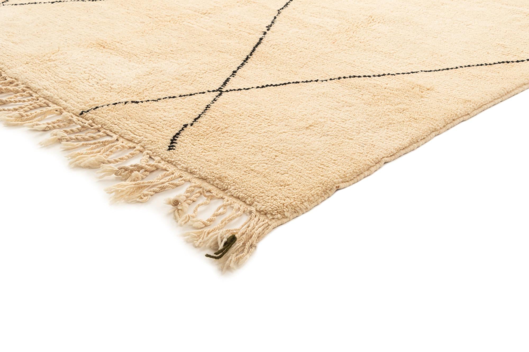 6' 9 x 9' 4 Berber Rug