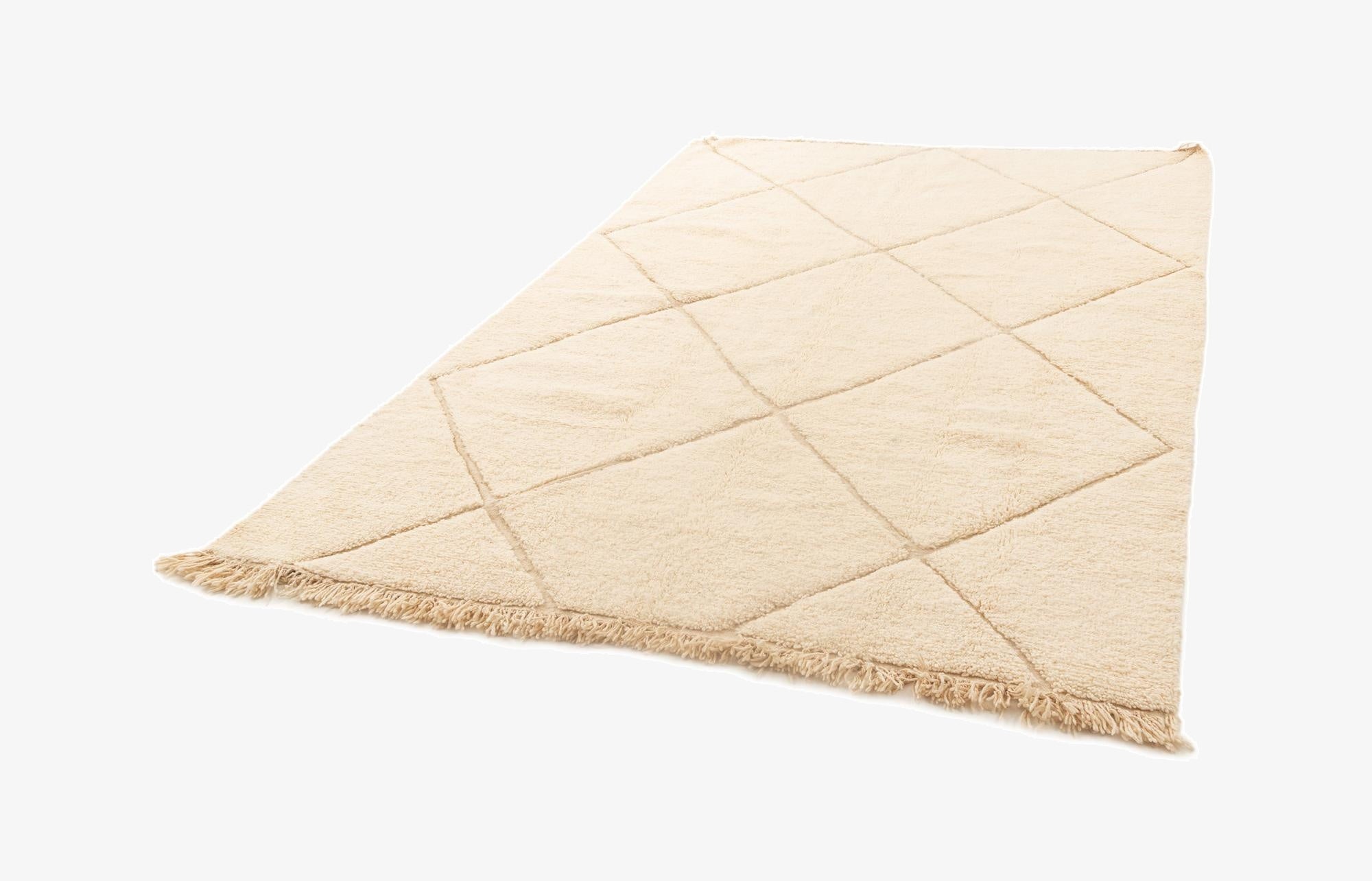 6' 10 x 9' 6 Berber Rug