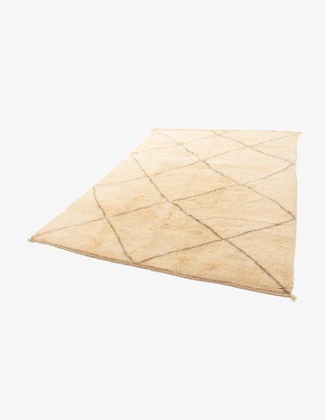 6' 9 x 9' 6 Berber Rug