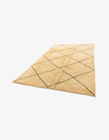 7' 1 x 10' 2 Berber Rug