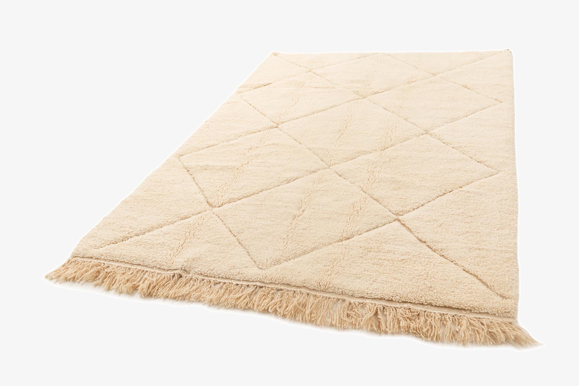 6' 11 x 9' 6 Berber Rug