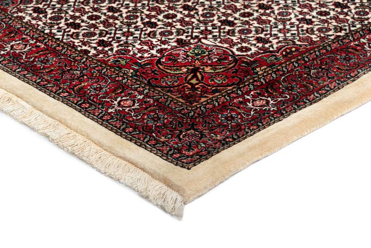 Detail image of 3' 10 x 5' 11 Bidjar Wool Rug