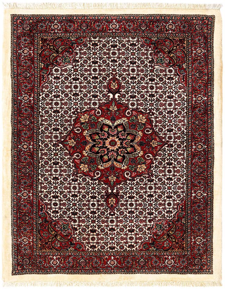 Detail image of 3' 10 x 5' 11 Bidjar Wool Rug