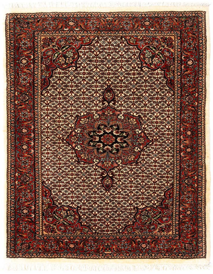 Detail image of 2' 10 x 4' 7 Bidjar Wool Rug