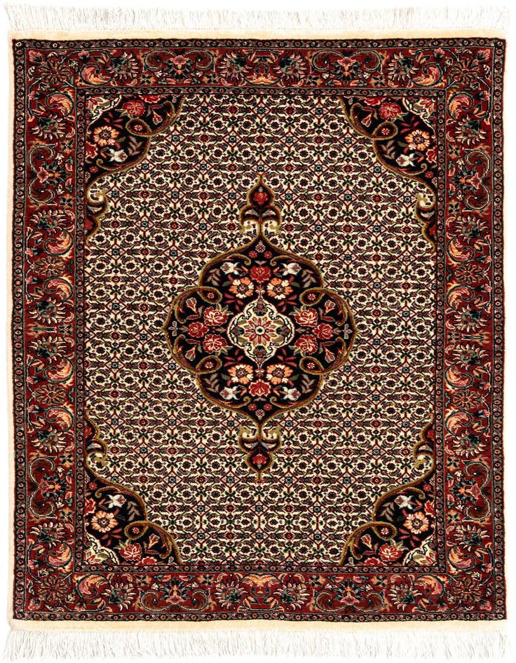 Detail image of 2' 11 x 4' 7 Bidjar Wool Rug