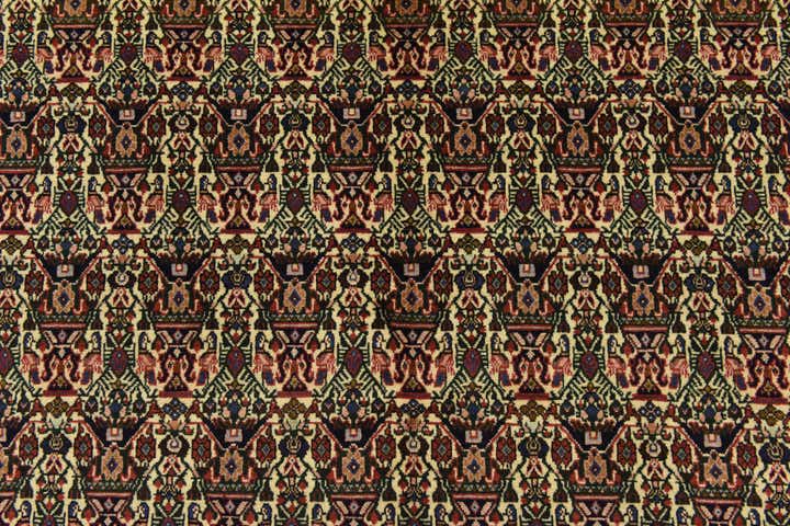 5' 2 x 6' 8 Hand Knotted Bidjar Persian Rug