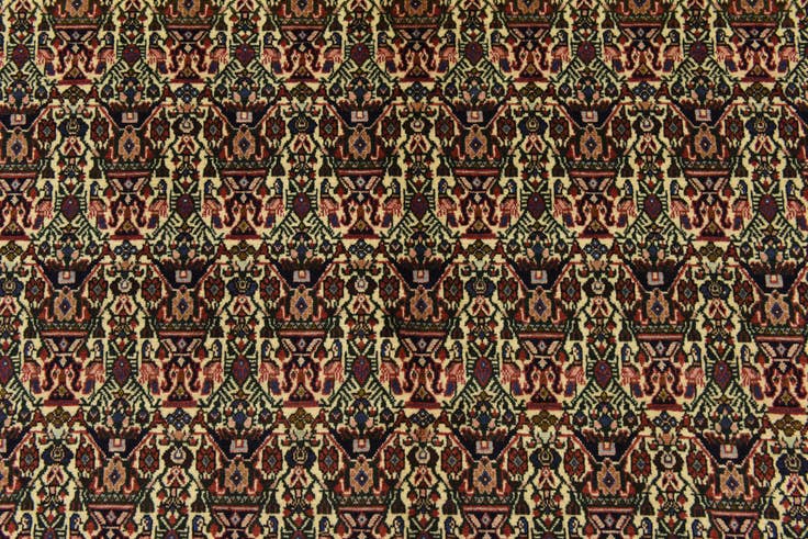 Detail image of 5' 2 x 6' 8 Hand Knotted Bidjar Persian Rug