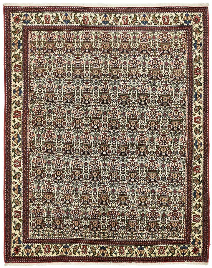 5' 2 x 6' 8 Hand Knotted Bidjar Persian Rug