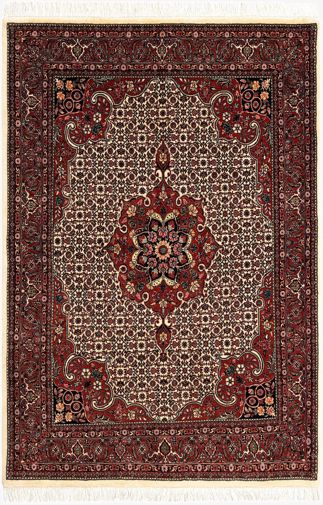 4' 11 x 6' 11 Bidjar Rug