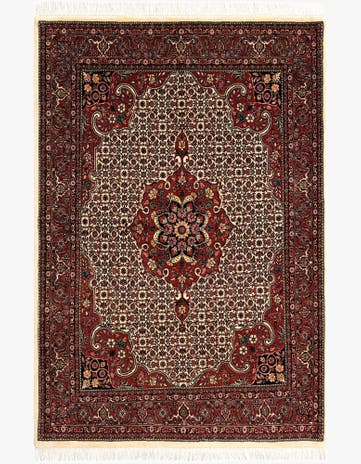 4' 11 x 6' 11 Bidjar Rug