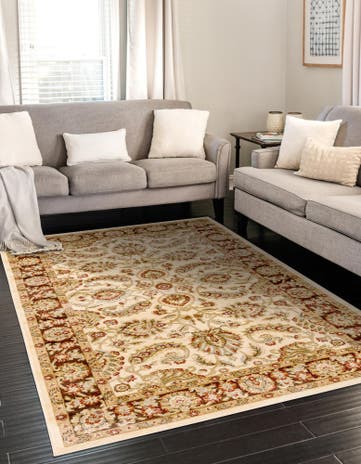 3' 3 x 5' 3 Classic Agra Rug