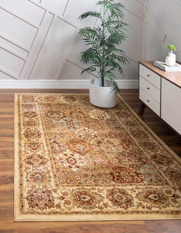 10' x 13' Classic Agra Rug