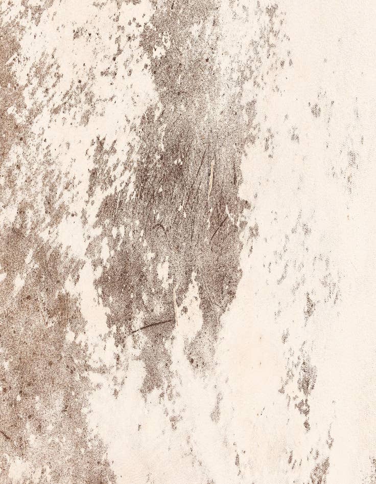 Detail image of 5' 11 x 6' 5 Cowhide Leather Rug