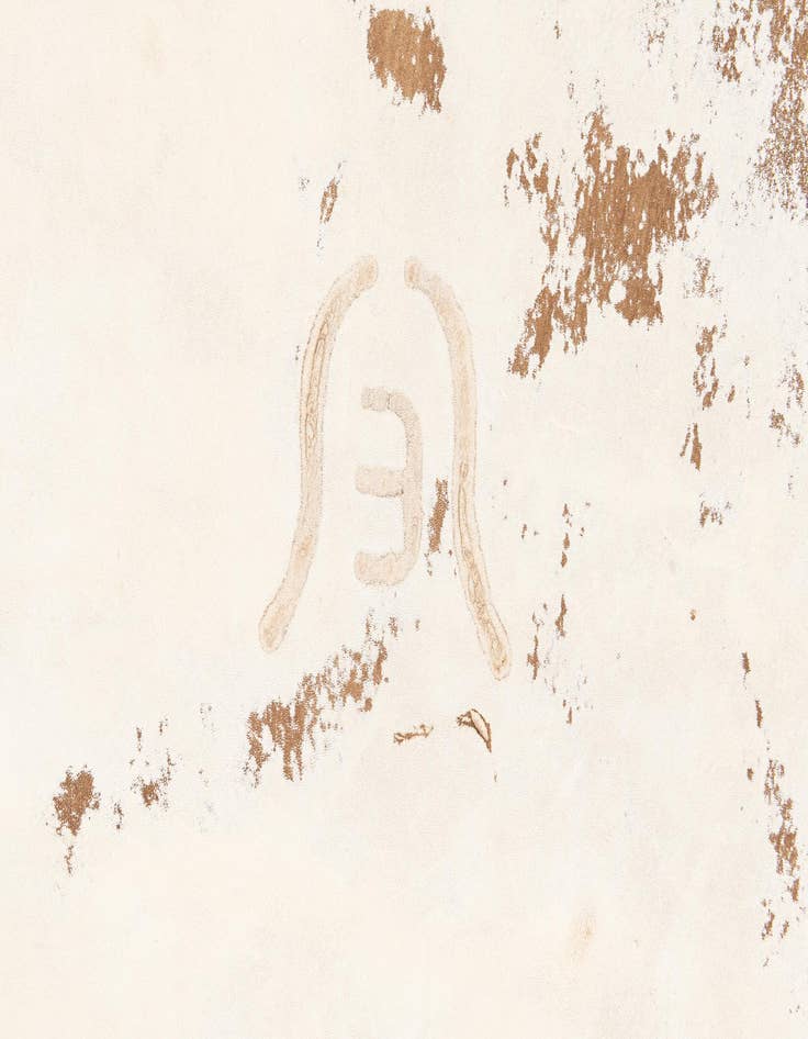 Detail image of 6' 8 x 7' 2 Cowhide Leather Rug