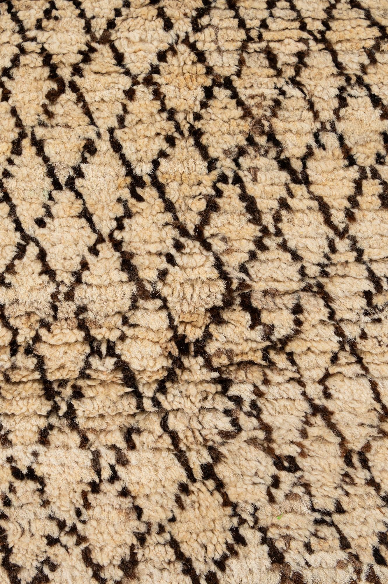 5' 5 x 7' 9 Hand Knotted Darya Wool Rug