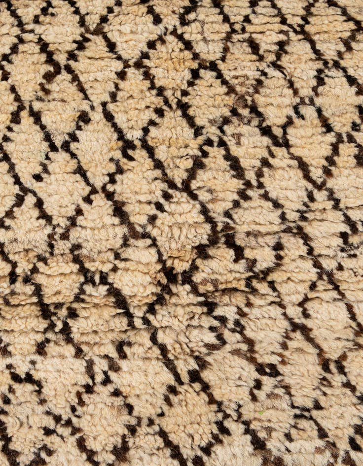 Detail image of 5' 5 x 7' 9  Hand Knotted Darya Wool Rug