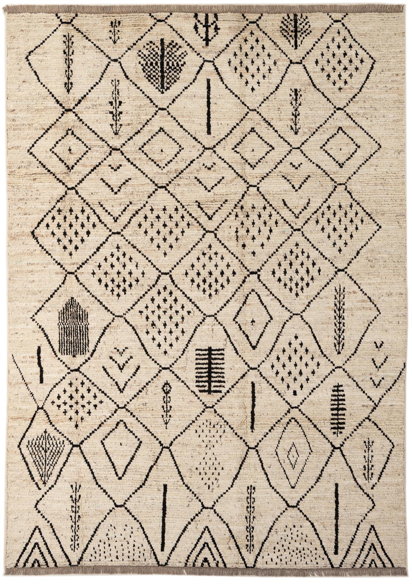 6' 6 x 9' 4 Hand Knotted Darya Wool Rug
