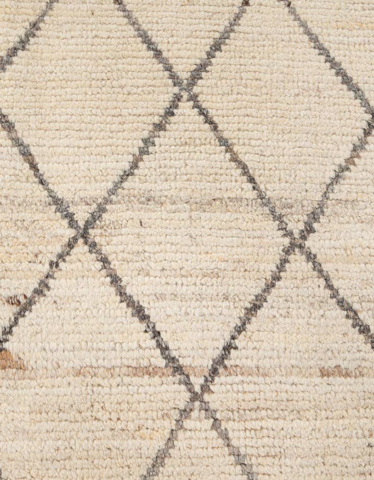 Detail image of 6' 4 x 9' 4  Hand Knotted Darya Wool Rug