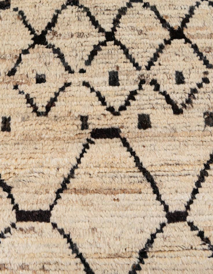 Detail image of 6' 4 x 10' 1  Hand Knotted Darya Wool Rug