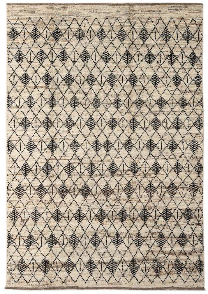 6' 9 x 9' 9 Hand Knotted Darya Wool Rug