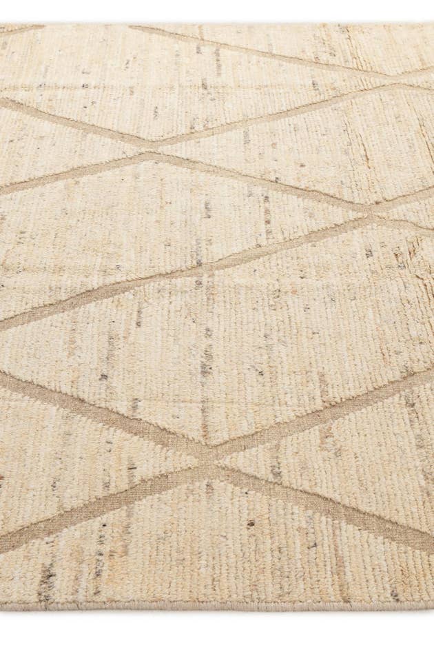 Detail image of 6' 10 x 10' Hand Knotted Darya Wool Rug