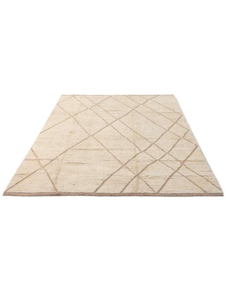 6' 7 x 9' 9 Hand Knotted Darya Wool Rug