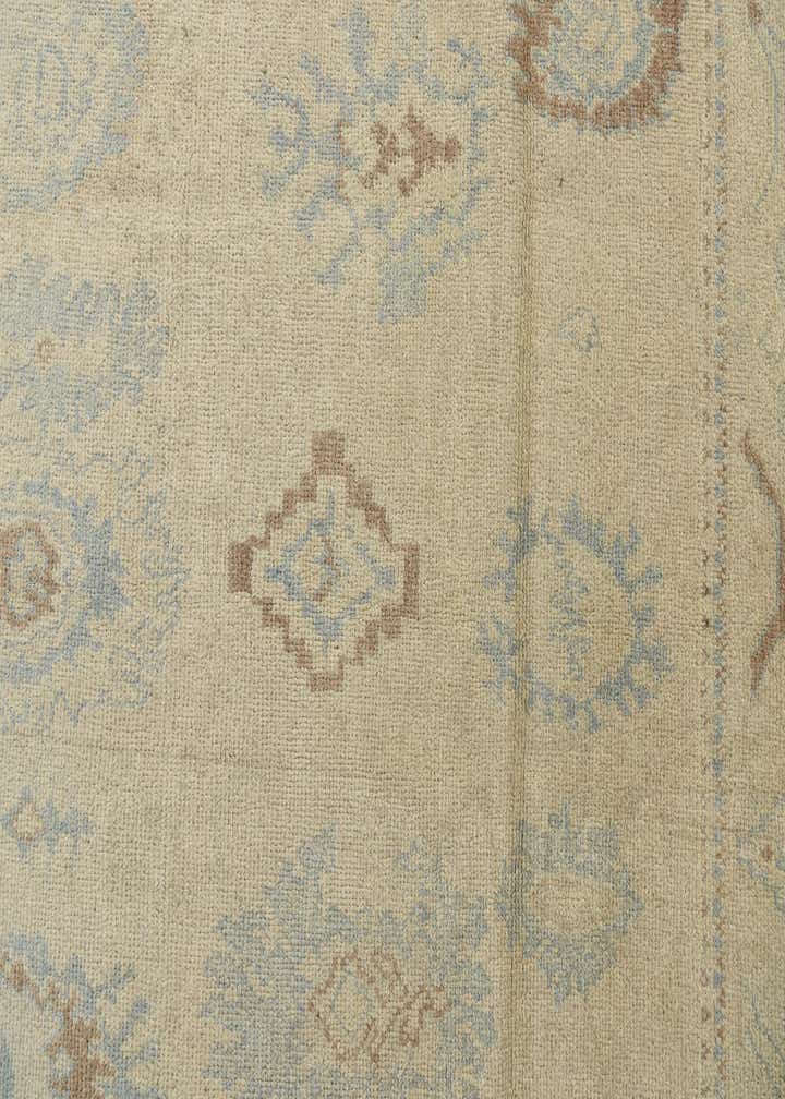 4' 8 x 6' 9 Hand Knotted Darya Wool Rug
