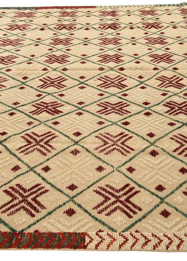 9' 10 x 14' 2 Hand Knotted Darya Wool Rug