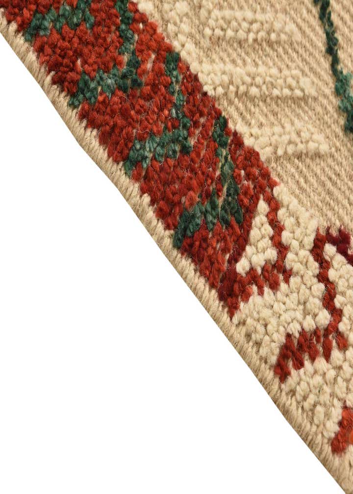 9' 10 x 14' 2 Hand Knotted Darya Wool Rug