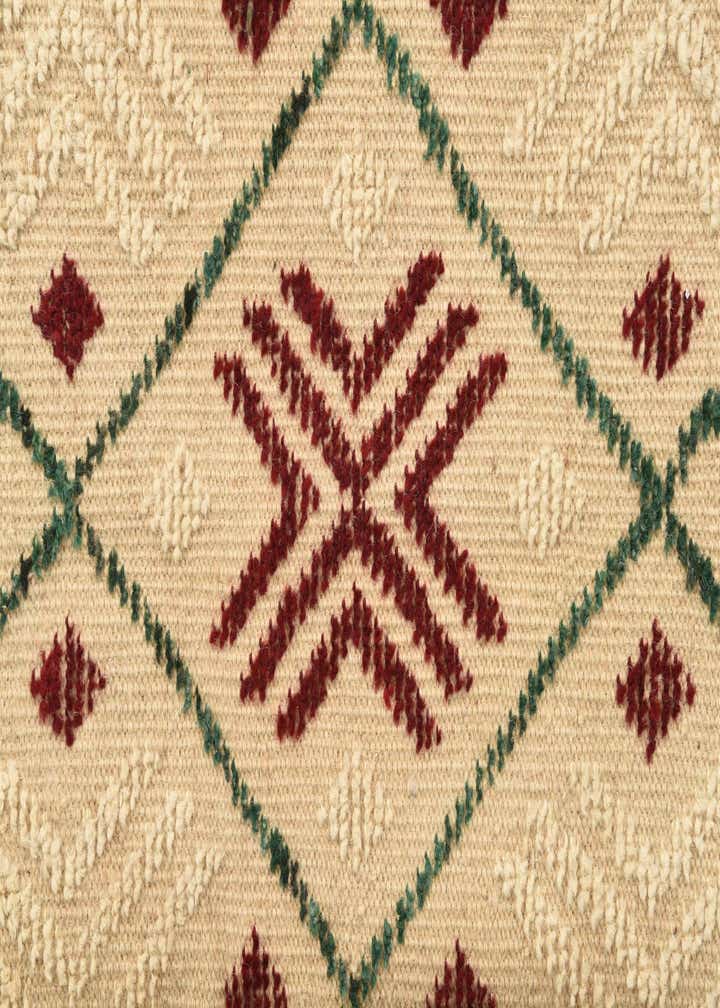 9' 10 x 14' 2 Hand Knotted Darya Wool Rug