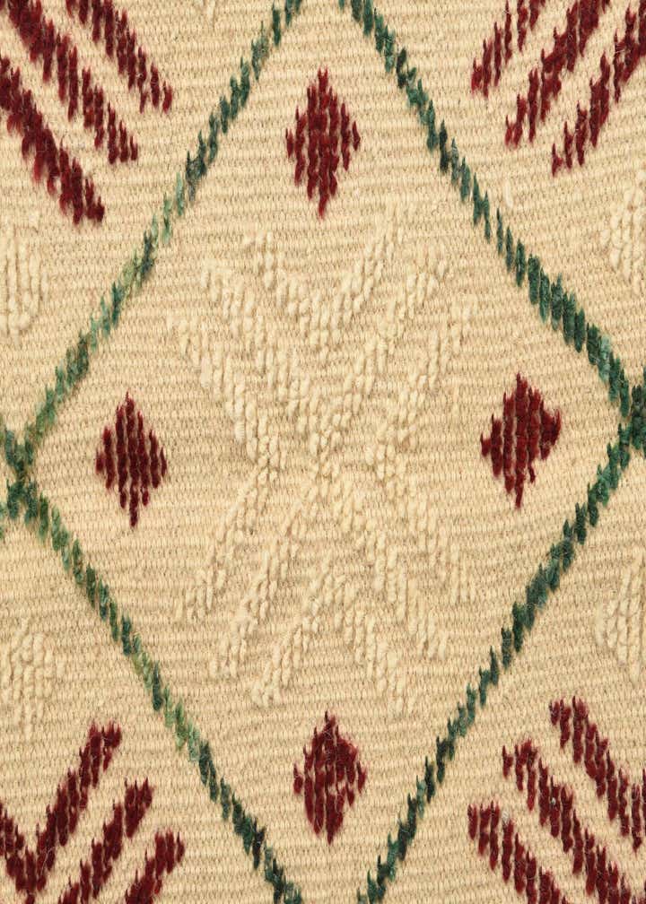 9' 10 x 14' 2 Hand Knotted Darya Wool Rug