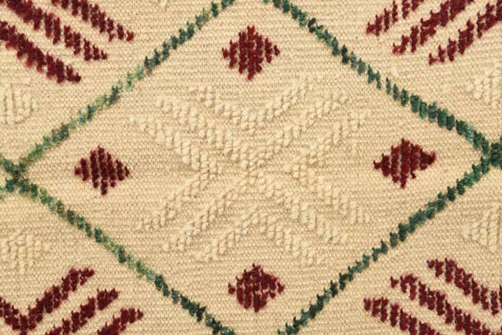 9' 10 x 14' 2 Hand Knotted Darya Wool Rug