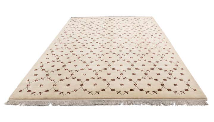 8' 2 x 11' 6 Hand Knotted Darya Wool Rug