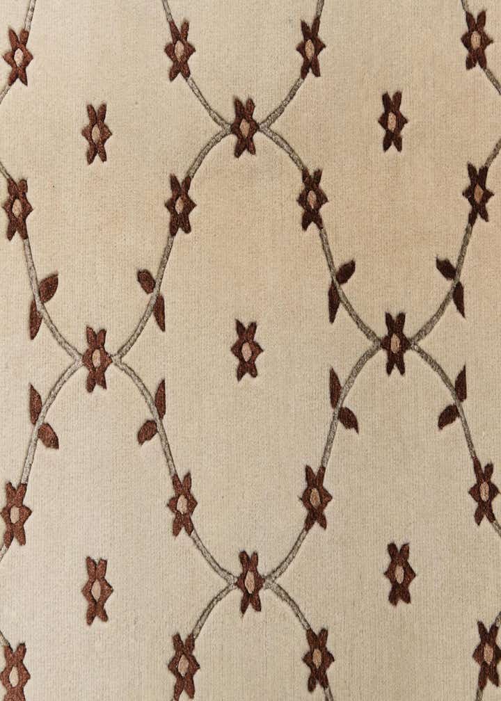 8' 2 x 11' 6 Hand Knotted Darya Wool Rug