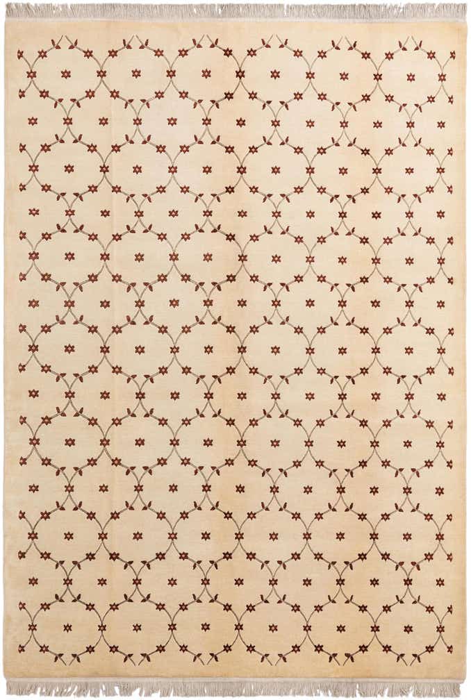 8' 2 x 11' 6 Hand Knotted Darya Wool Rug