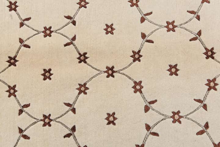 8' 2 x 11' 6 Hand Knotted Darya Wool Rug