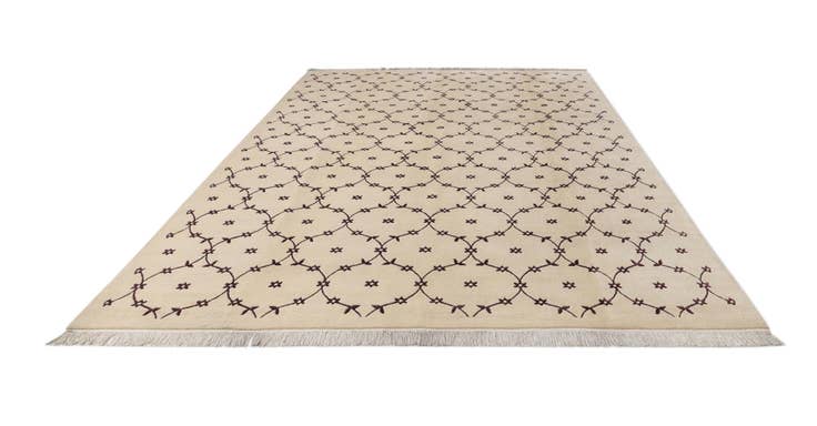 Detail image of 8' 2 x 11' 1 Hand Knotted Darya Wool Rug
