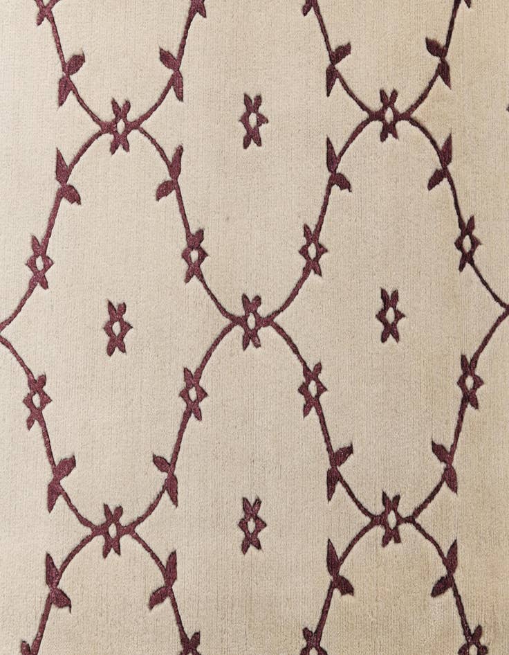 Detail image of 8' 2 x 11' 1  Hand Knotted Darya Wool Rug