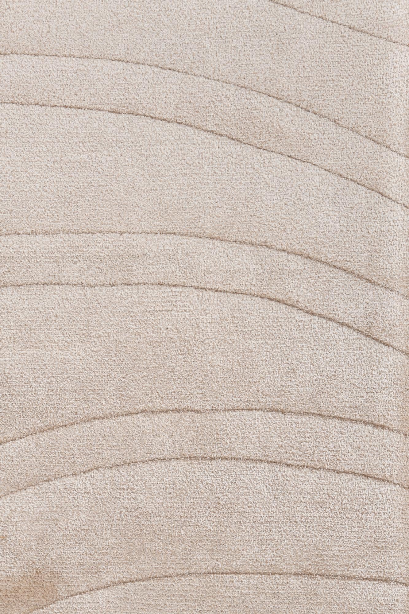 8' 2 x 11' 6 Hand Knotted Darya Wool Rug