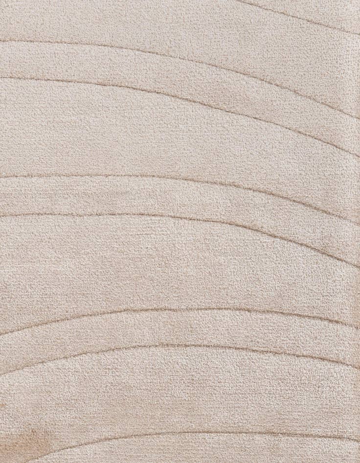 Detail image of 8' 2 x 11' 6  Hand Knotted Darya Wool Rug