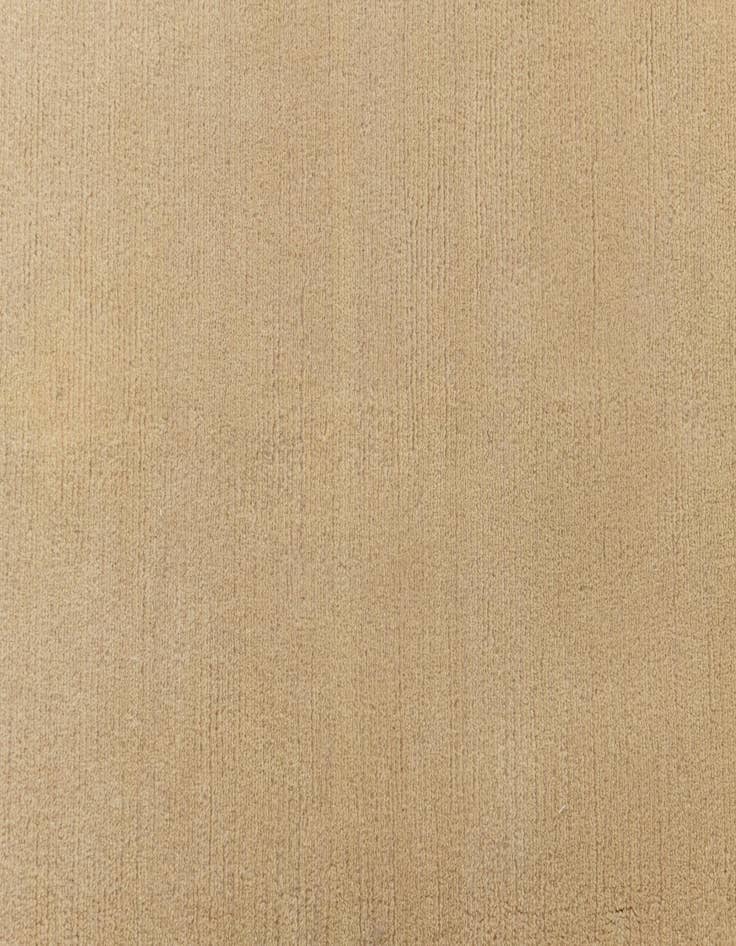 Detail image of 6' 6 x 9' 9  Hand Knotted Darya Wool Rug